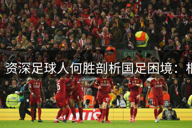 资深足球人何胜剖析国足困境：根源在于行业缺失"真爱基因